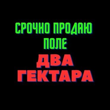 участок для сельского хозяйства чуй ак сай: 200 соток, Для сельского хозяйства, Тех паспорт, Договор купли-продажи, Договор долевого участия — 1