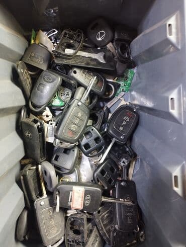 Бала бакчалар, бала багуучулар: Компьютердик диагностика, Автоунаа системаларын жөнгө салуу, адаптациялоо, баруу менен — 15