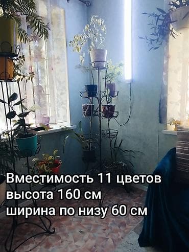 Other decor lalafo.kg да Other decor