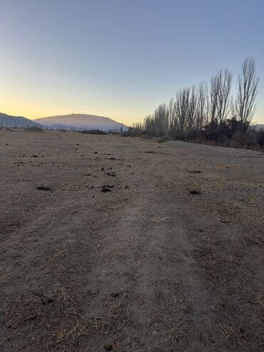 мобильный дома: 500 соток, Для бизнеса, Красная книга, Договор купли-продажи — 9