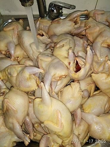 куриный фарш бишкек: Мясо перепёлки, вес 250 граамм, молодняк. Мы в центре города — 1