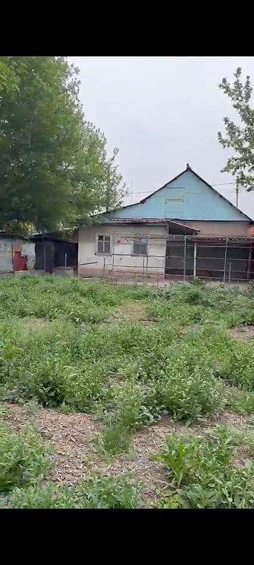 Продаю дом с.Восток ул Лугова 29 участок 9.3 сот - Отдельно стоящий