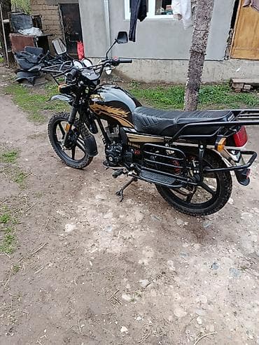 мотор на мопед: Мотоцикл дорожный/утилитарный GS-200CC (табличка на баке и боковинах) — 5