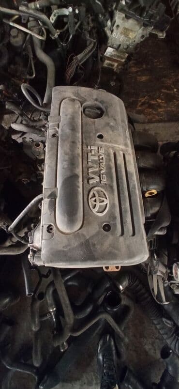 Бензиндик кыймылдаткыч Toyota 2003 г., 1.8 л, Колдонулган, Оригинал, Германия