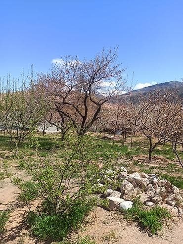 Продажа участков: 10 соток, Красная книга — 2