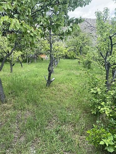 6 соток, Айыл чарба үчүн — 3