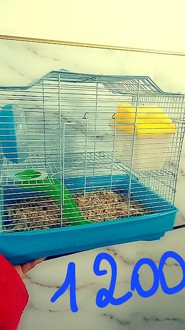 мал сатам: Продаю клетки для хомячков от 500 до 1700 сом. и самих хомячков — 8