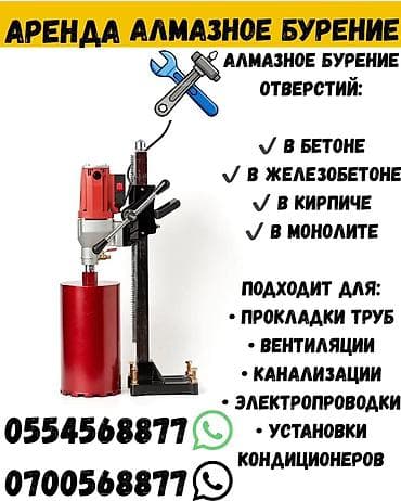 Сдам в аренду Буры