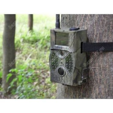 уличная видеокамера с сим картой: Фотоловушки 4G SunTek HC-300M(Филин).Может работать и от солнечной — 7