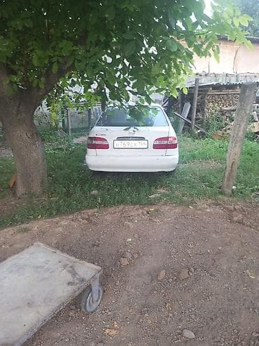 палировка авто: Toyota Corolla: 2000 г., Автомат, Седан — 5