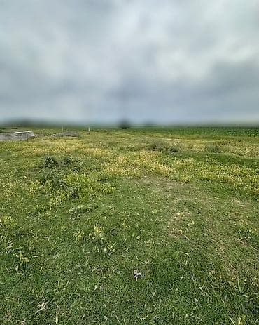 Земельные участки: 5 соток, Для строительства, Договор купли-продажи, Красная книга — 2