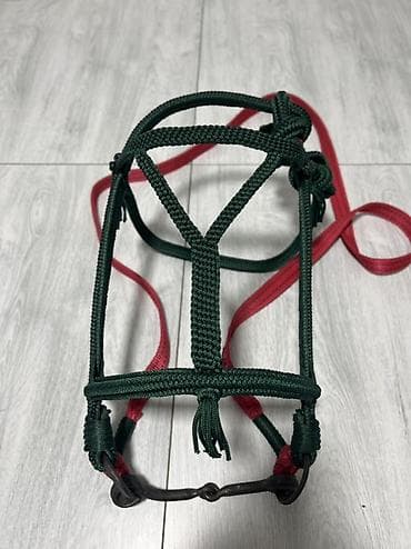 аренда лошадей: Продаю | Жеребец | Конный спорт — 4