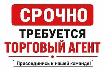работа продовца: Требуется Торговый агент, График: Шестидневка, Без опыта, % от продаж, Полный рабочий день — 1