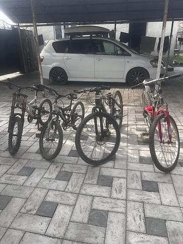 single speed: Горный велосипед, Сталь — 1