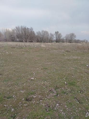 Гаражи: 4 соток, Для строительства — 4