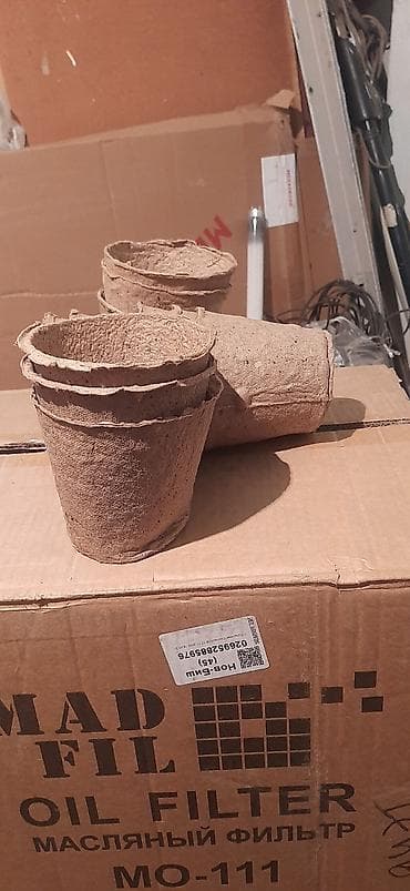 Бакча эмереги: Көчөттөр гүлдүн: Пиондор, Өзү алып кетүү — 10