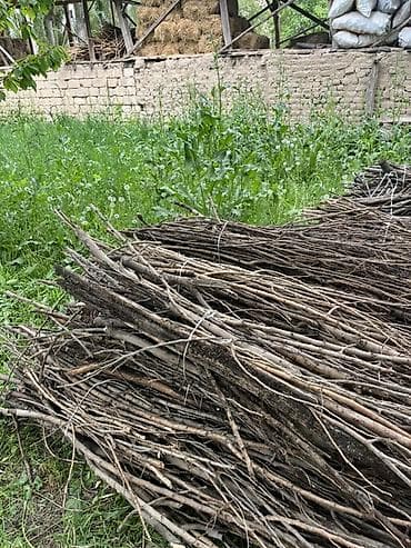 кант уголь: Дрова Самовывоз, Платная доставка — 6