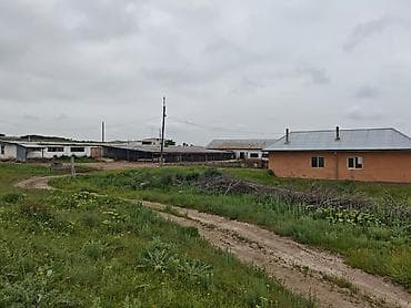 бишкек продаю дом село нижний алаарча: Сдаю действующий фермерский комплекс для КРС. Электричество и вода — 7
