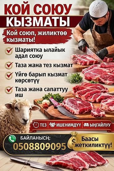 режу баранов: "Резка барана по сунне", "Халяль забой", "Профессиональная разделка — 1