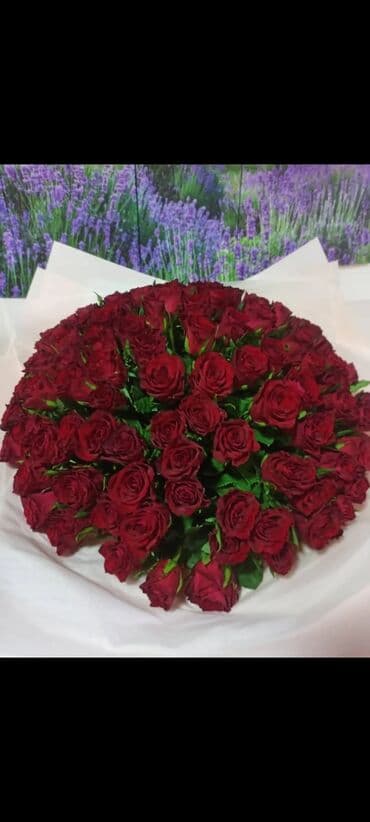 51 роза и 101 роза 24/7 Акция не дорого‼️