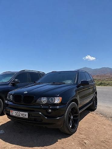 bmw x5 e53 4 8: BMW X5: 2003 г., 3 л, Автомат, Дизель, Внедорожник — 4