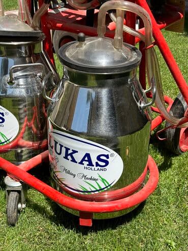 Грызуны: Доильный аппарат — 4