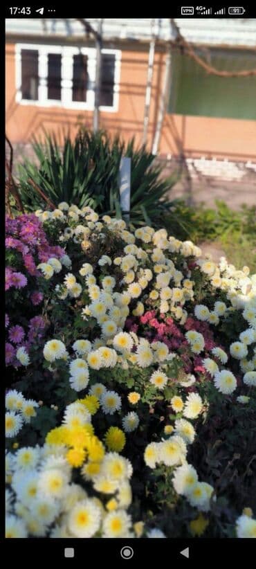 дом район ак орго: Үй, 1441 м², 8 бөлмө — 21