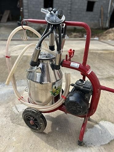 Универсальное оборудование: Доильный аппарат на тележке для коров - Электрический вакуумный — 4