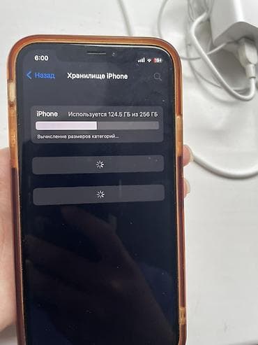 i phon: IPhone Xs, 256 ГБ, Чехол, 100 % — 4