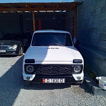 mini copper: ВАЗ (ЛАДА) 4x4 Нива: 2001 г., 1.7 л, Ручные, Бензин, Внедорожник — 5