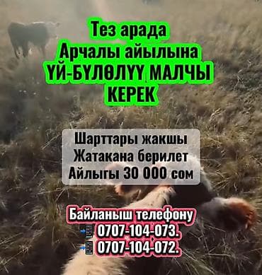 Требуется Скотник, Оплата: Сдельная