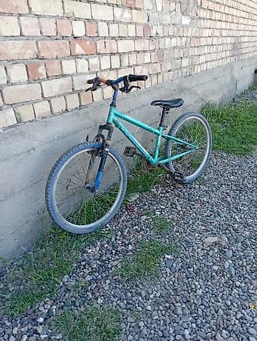 speedone frame: Горный велосипед, Alton, Рама M (156 - 178 см), Сталь — 3
