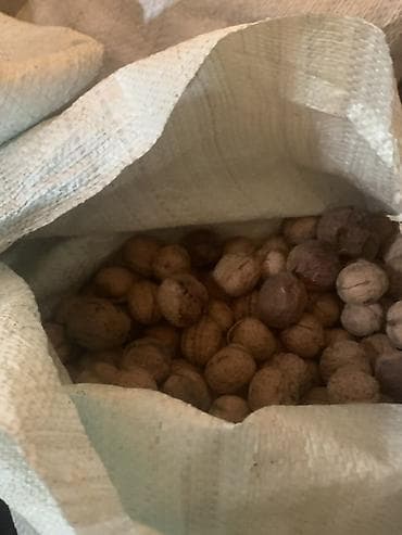 Ягоды: Продам 2 мешка Грецких орехов — 1