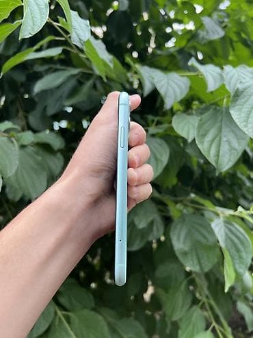 poco 3x: IPhone 11, Б/у, 64 ГБ, Зеленый, Коробка, 71 % — 5