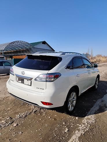 lexus e: Lexus RX: 2010 г., 3.5 л, Автомат, Бензин, Кроссовер — 2
