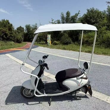 Самовывоз, Платная доставка