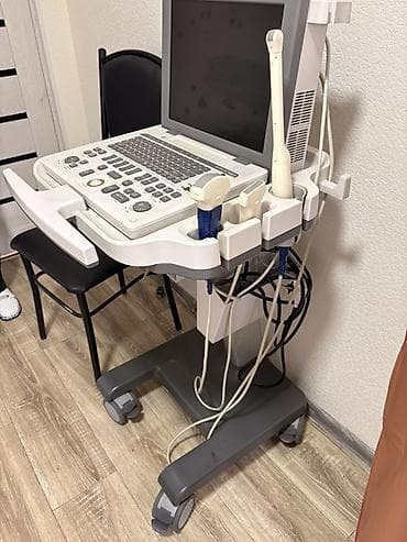 Медицинское оборудование: УЗИ-аппарат Samsung Medison SonoAce R3 с тележкой VET R3 Cart — 2
