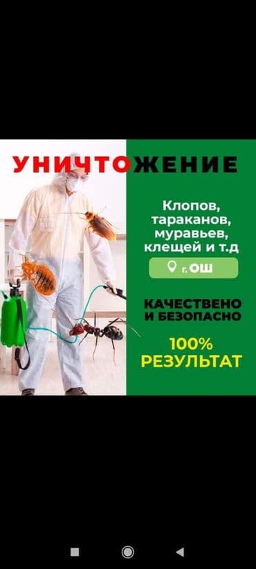 Дезинфекциялоо, дезинсекциялоо, | Канталалар, Бүргөлөр, Таракандар, | Транспорт, Офистер, Батирлер