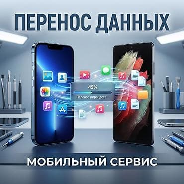 мобильный терминал: Мобильный сервис: разблокировка, прошивка и перенос данных — 2