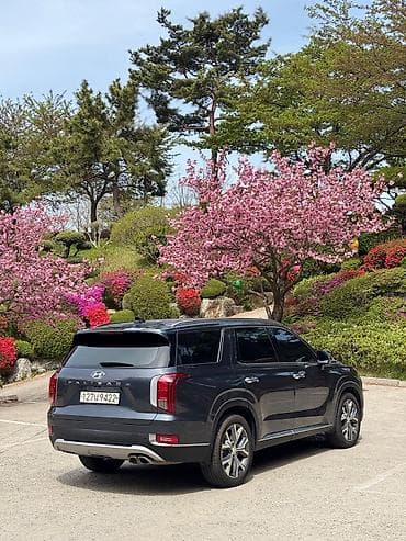 сто корейских авто: Hyundai Palisade: 2020 г., 2.2 л, Автомат, Дизель, Кроссовер — 7