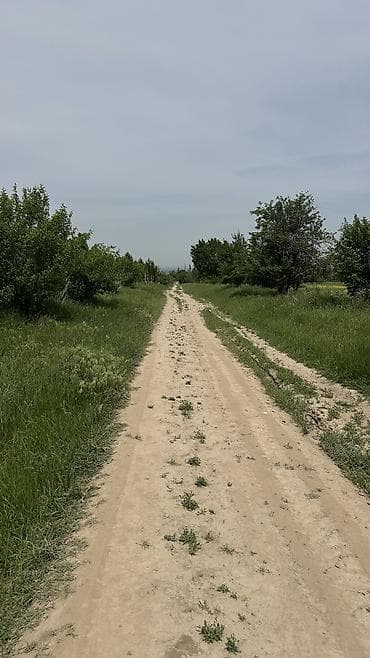 Недвижимость: 1000 соток, Для сельского хозяйства, Договор долевого участия, Договор купли-продажи, Красная книга — 5