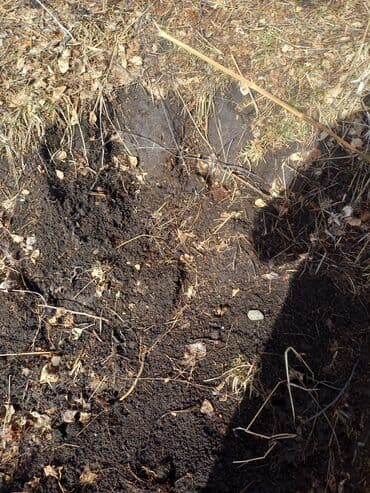 удобрение гумин: Чёрнозём для газона почва для теплиц сад зил камаз — 2