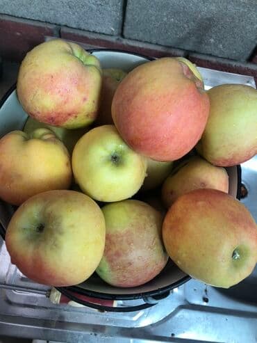 күзгү ош: Алмалар — 2