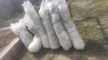 скупка салафанов: Прием пластика — 2