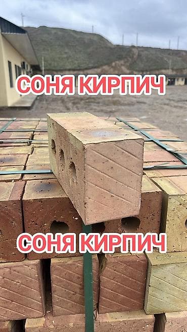 Пустотелый, дырчатый, Жженый кирпич, Полублок, 250×120×90 at lalafo.kg Пустотелый, дырчатый, Жженый кирпич, Полублок, 250×120×90