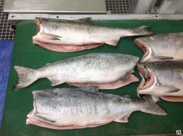 фарель живой: Замороженный, Более 10 кг, Самовывоз — 6