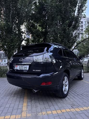 авто краслер: Lexus RX: 2004 г., 3.3 л, Автомат, Газ, Кроссовер — 5