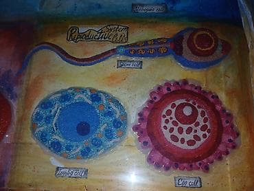 круглые магниты: Набор настенных учебных таблиц “Types of Cells” (англ. язык) — серия — 4