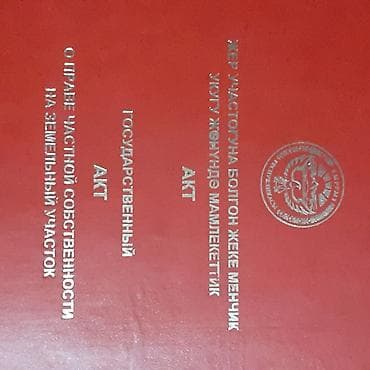 Жер тилкелерди ижарага берүү: 8 соток, Бизнес үчүн, Кызыл китеп — 1