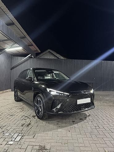 Hozon: Hozon Neta L: 2024 г., 1.5 л, Автомат, Гибрид, Кроссовер — 6